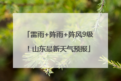 雷雨+阵雨+阵风9级！山东最新天气预报