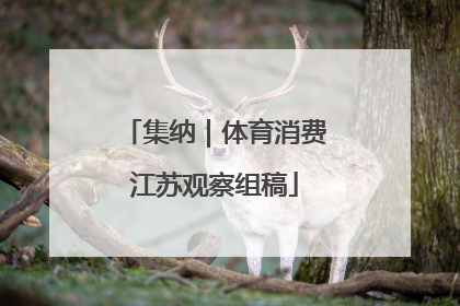集纳｜体育消费江苏观察组稿
