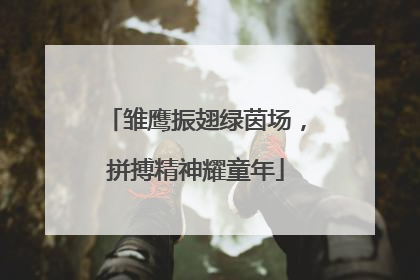 雏鹰振翅绿茵场，拼搏精神耀童年