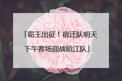 霸王出征！宿迁队明天下午客场迎战镇江队