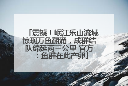 震撼！岷江乐山流域惊现万鱼翻涌，成群结队绵延两三公里 官方：鱼群在此产卵
