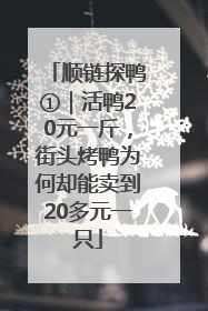 顺链探鸭①｜活鸭20元一斤，街头烤鸭为何却能卖到20多元一只