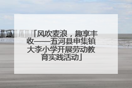 风吹麦浪，趣享丰收——五河县申集镇大李小学开展劳动教育实践活动