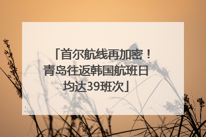 首尔航线再加密！青岛往返韩国航班日均达39班次
