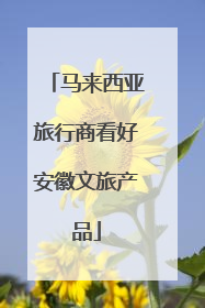 马来西亚旅行商看好安徽文旅产品