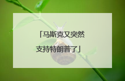 马斯克又突然支持特朗普了