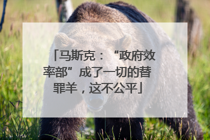 马斯克：“政府效率部”成了一切的替罪羊，这不公平