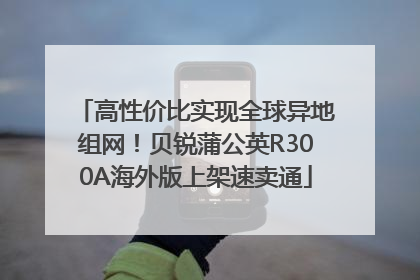 高性价比实现全球异地组网！贝锐蒲公英R300A海外版上架速卖通