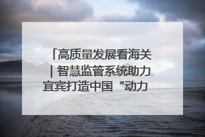 高质量发展看海关｜智慧监管系统助力宜宾打造中国“动力电池之都”