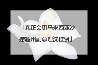 龚正会见马来西亚沙捞越州副总理沈桂贤