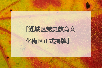 鲤城区党史教育文化街区正式揭牌