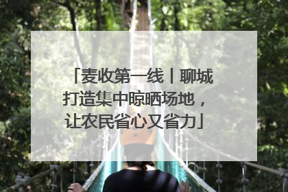 麦收第一线丨聊城打造集中晾晒场地，让农民省心又省力