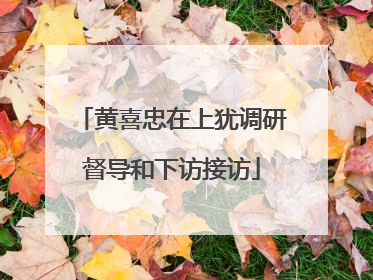 黄喜忠在上犹调研督导和下访接访