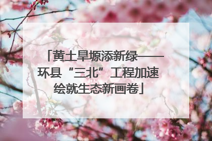 黄土旱塬添新绿——环县“三北”工程加速绘就生态新画卷