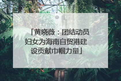 黄晓薇：团结动员妇女为海南自贸港建设贡献巾帼力量