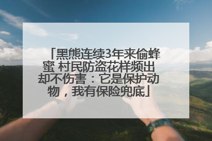 黑熊连续3年来偷蜂蜜 村民防盗花样频出却不伤害：它是保护动物，我有保险兜底