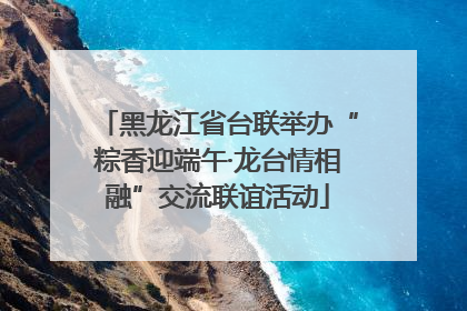黑龙江省台联举办“粽香迎端午·龙台情相融”交流联谊活动