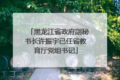 黑龙江省政府副秘书长许振宇已任省教育厅党组书记