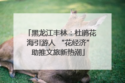 黑龙江丰林：杜鹃花海引游人 “花经济”助推文旅新热潮
