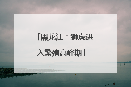 黑龙江：狮虎进入繁殖高峰期