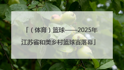 （体育）篮球——2025年江苏省和美乡村篮球赛落幕