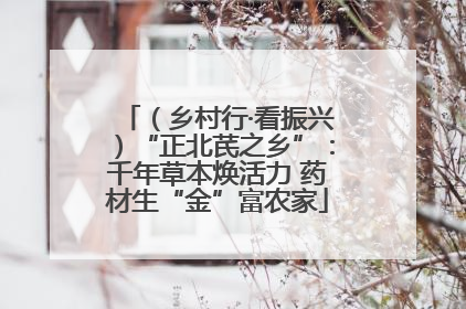 （乡村行·看振兴）“正北芪之乡”：千年草本焕活力 药材生“金”富农家