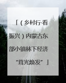 （乡村行·看振兴）内蒙古东部小镇林下经济“茸光焕发”