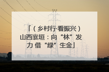 （乡村行·看振兴）山西襄垣：向“林”发力 借“绿”生金