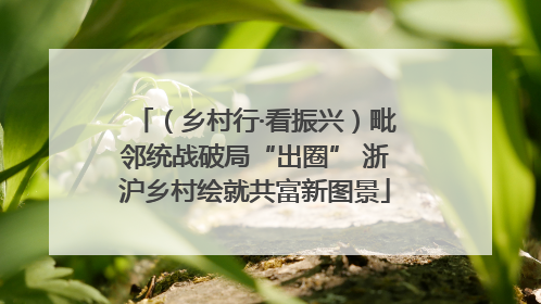 （乡村行·看振兴）毗邻统战破局“出圈” 浙沪乡村绘就共富新图景