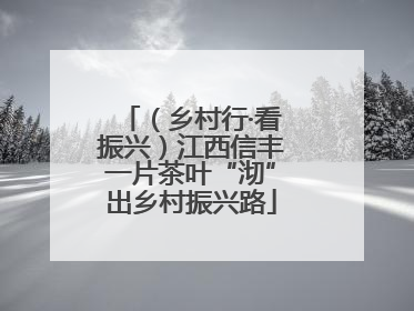 （乡村行·看振兴）江西信丰一片茶叶“沏”出乡村振兴路