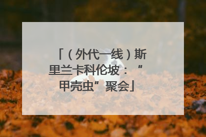 （外代一线）斯里兰卡科伦坡：“甲壳虫”聚会