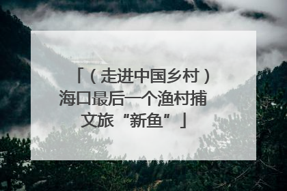 （走进中国乡村）海口最后一个渔村捕文旅“新鱼”