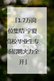 1.7万岗位集结 宁夏高校毕业生专场招聘火力全开