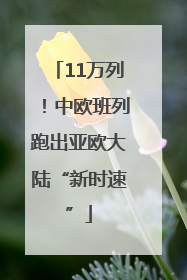 11万列！中欧班列跑出亚欧大陆“新时速”