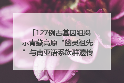 127例古基因组揭示青藏高原“幽灵祖先”与南亚语系族群遗传起源｜封面科考队