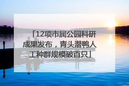 12项市属公园科研成果发布，青头潜鸭人工种群规模破百只