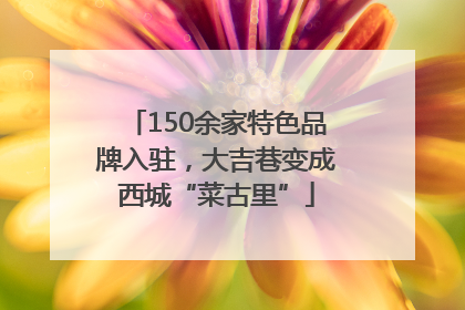 150余家特色品牌入驻，大吉巷变成西城“菜古里”