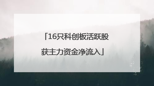 16只科创板活跃股获主力资金净流入