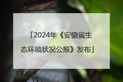 2024年《安徽省生态环境状况公报》发布