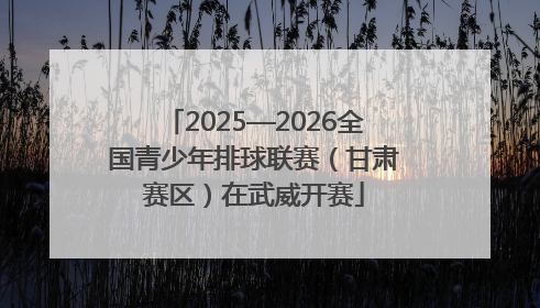 2025—2026全国青少年排球联赛（甘肃赛区）在武威开赛