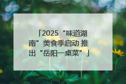 2025“味道湖南”美食季启动 推出“岳阳一桌菜”