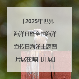 2025年世界海洋日暨全国海洋宣传日海洋主题图片展在海口开展