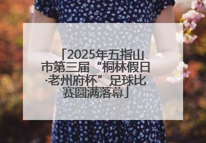 2025年五指山市第三届“桐林假日·老州府杯”足球比赛圆满落幕