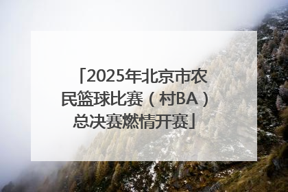 2025年北京市农民篮球比赛（村BA）总决赛燃情开赛
