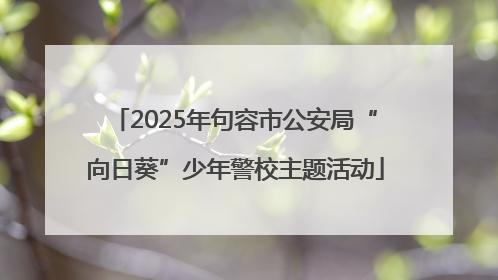 2025年句容市公安局“向日葵”少年警校主题活动