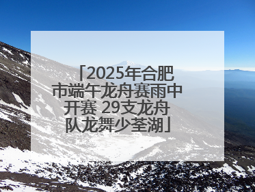 2025年合肥市端午龙舟赛雨中开赛 29支龙舟队龙舞少荃湖