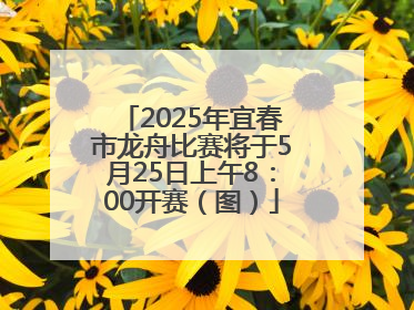 2025年宜春市龙舟比赛将于5月25日上午8：00开赛（图）