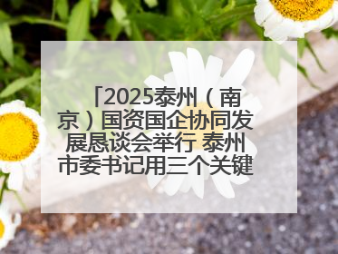 2025泰州（南京）国资国企协同发展恳谈会举行 泰州市委书记用三个关键词推介泰州