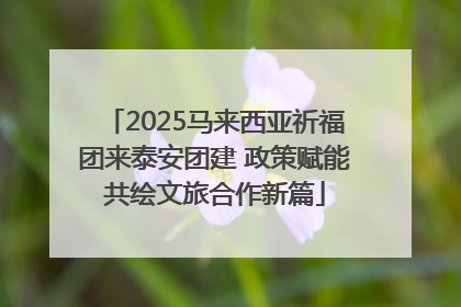2025马来西亚祈福团来泰安团建 政策赋能共绘文旅合作新篇
