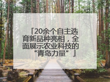 20余个自主选育新品种亮相，全面展示农业科技的“青岛力量”